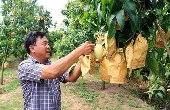 Mở rộng mã vùng nông sản chủ lực phục vụ nông thôn mới