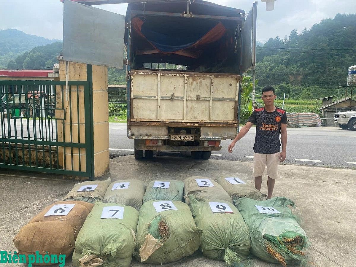 Cao Bằng: Thu giữ hơn 1 tấn nguyên liệu thuốc lá lậu