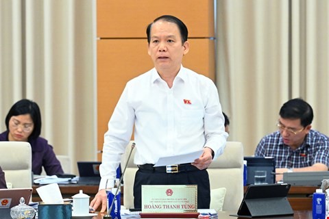 Hoàng Thanh Tùng Hoàng Thanh Tùng