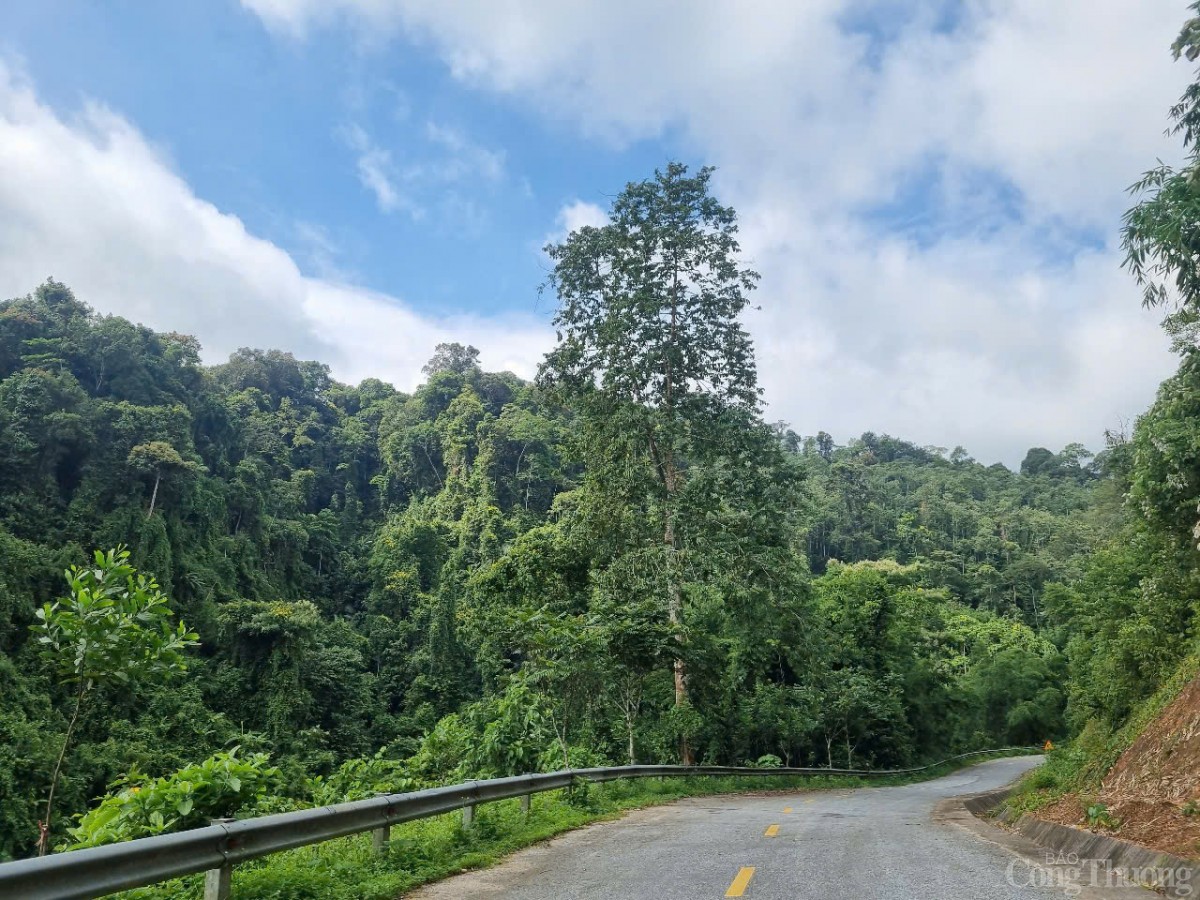 Thác Khe Kèm (Nghệ An): Du lịch xanh mở hướng sinh kế Thác Khe Kèm (Nghệ An): Du lịch xanh mở hướng sinh kế