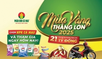 Phân bón NPK Cà Mau 20-10-10: chọn đúng, trúng mùa vàng