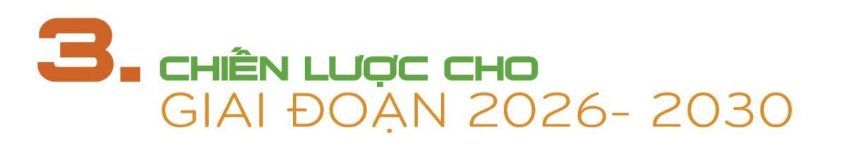 Longform | 5 năm triển khai Quyết định 1719: Ngành Công Thương và hành trình 'thắp lửa' vùng cao: Bài 4 Longform | 5 năm triển khai Quyết định 1719: Ngành Công Thương và hành trình 'thắp lửa' vùng cao: Bài 4