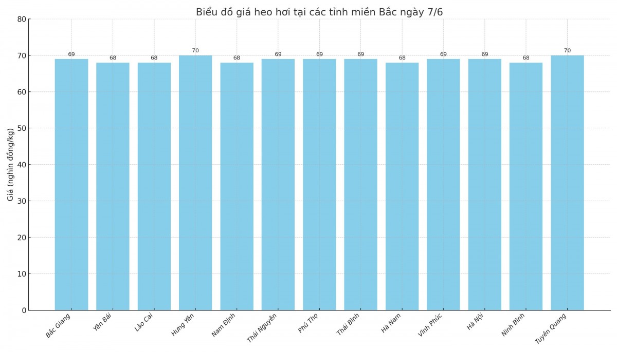 Biểu đồ giá heo hơi tại các tỉnh miền Bắc ngày 7/6.