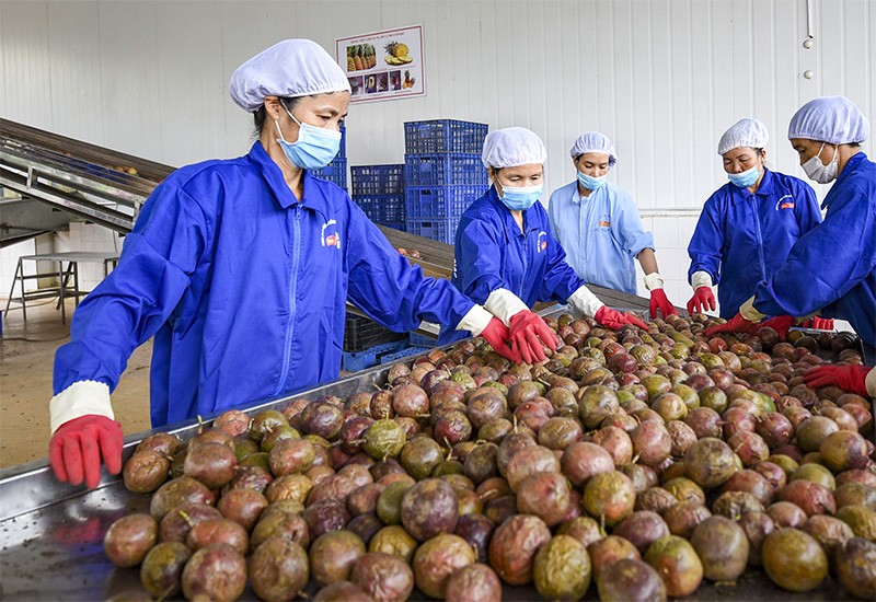 EVFTA tạo sức bật mới cho thương mại Việt - EU