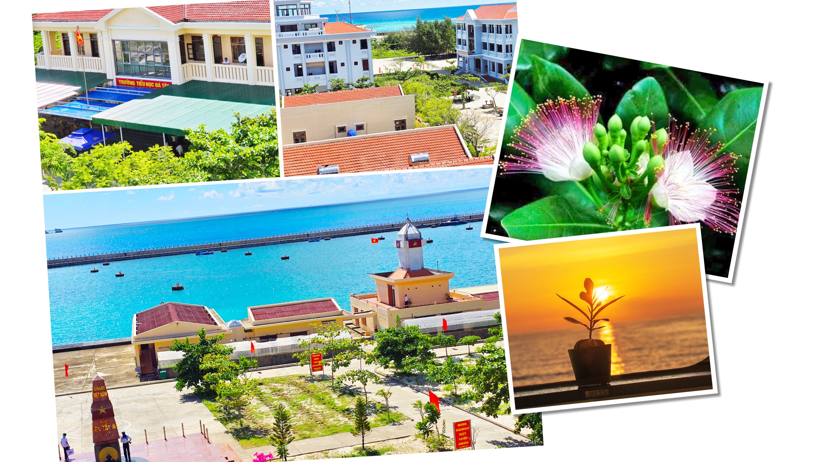 Lời nhắn gửi từ Trường Sa!Bài 2:Hướng về ngày bầu cử Lời nhắn gửi từ Trường Sa!Bài 2:Hướng về ngày bầu cử