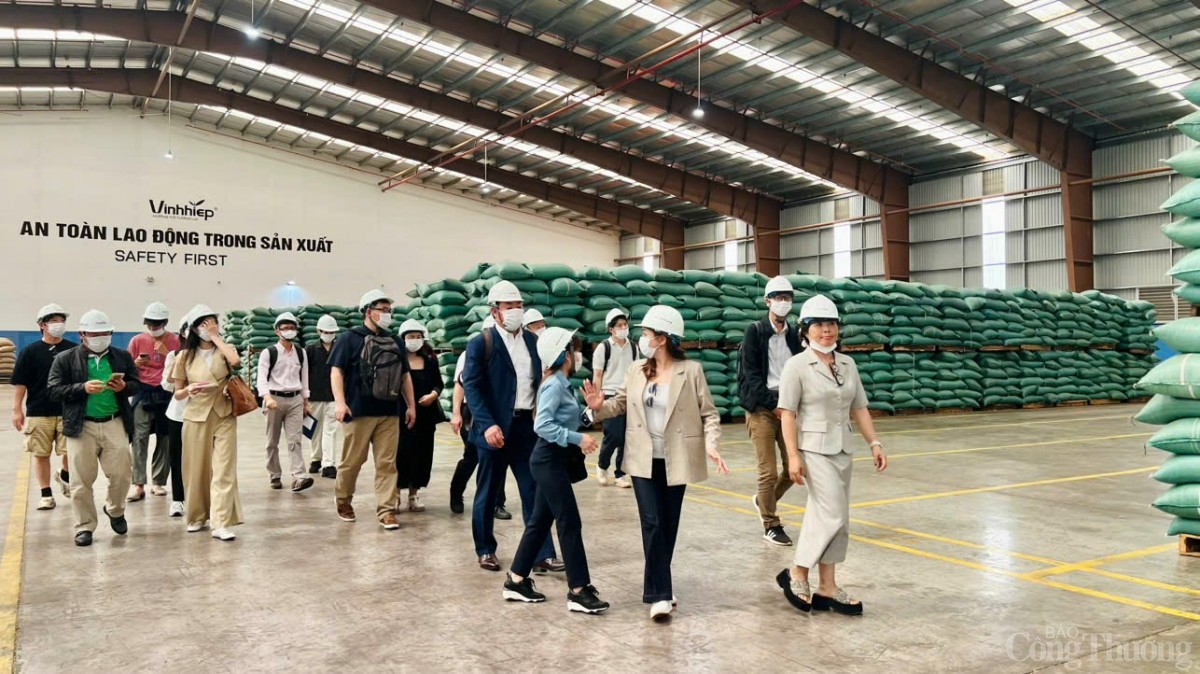 thị trường Nhật Bản