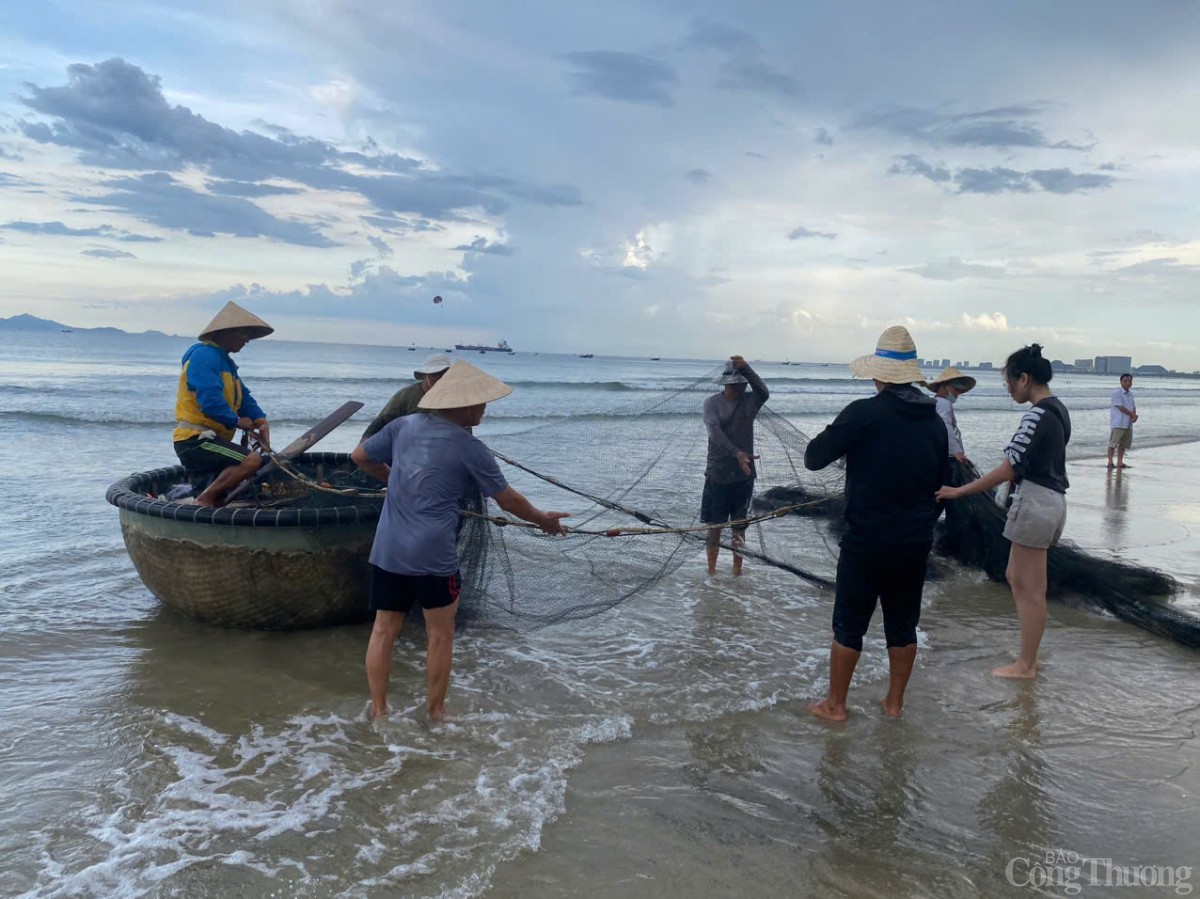 Thú vị cảnh kéo lưới rùng, mua bán cá trên biển Đà Nẵng