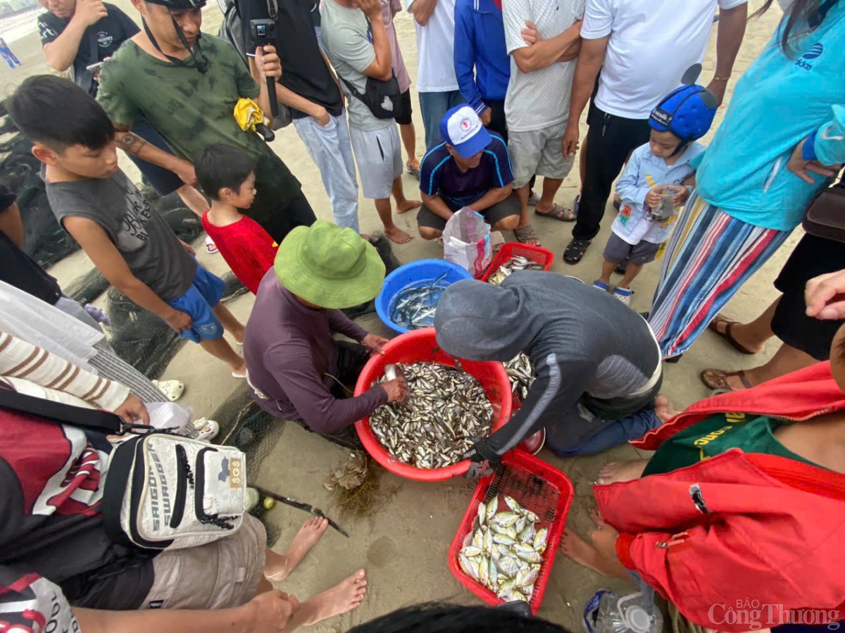 Thú vị cảnh kéo lưới rùng, mua bán cá trên biển Đà Nẵng