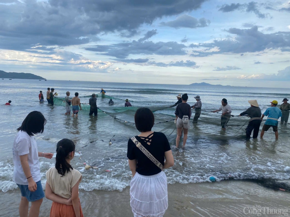 Thú vị cảnh kéo lưới rùng, mua bán cá trên biển Đà Nẵng