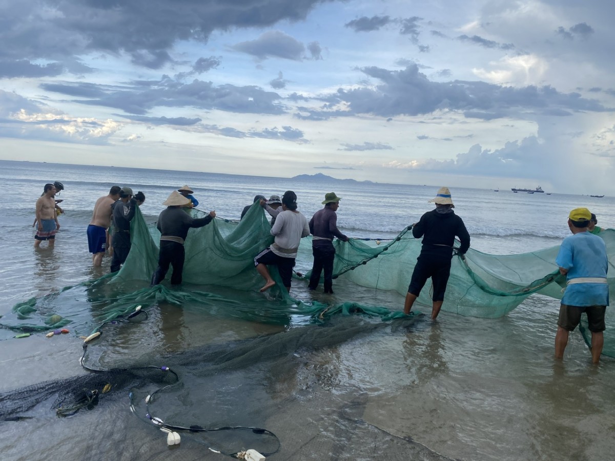 Thú vị cảnh kéo lưới rùng, mua bán cá trên biển Đà Nẵng