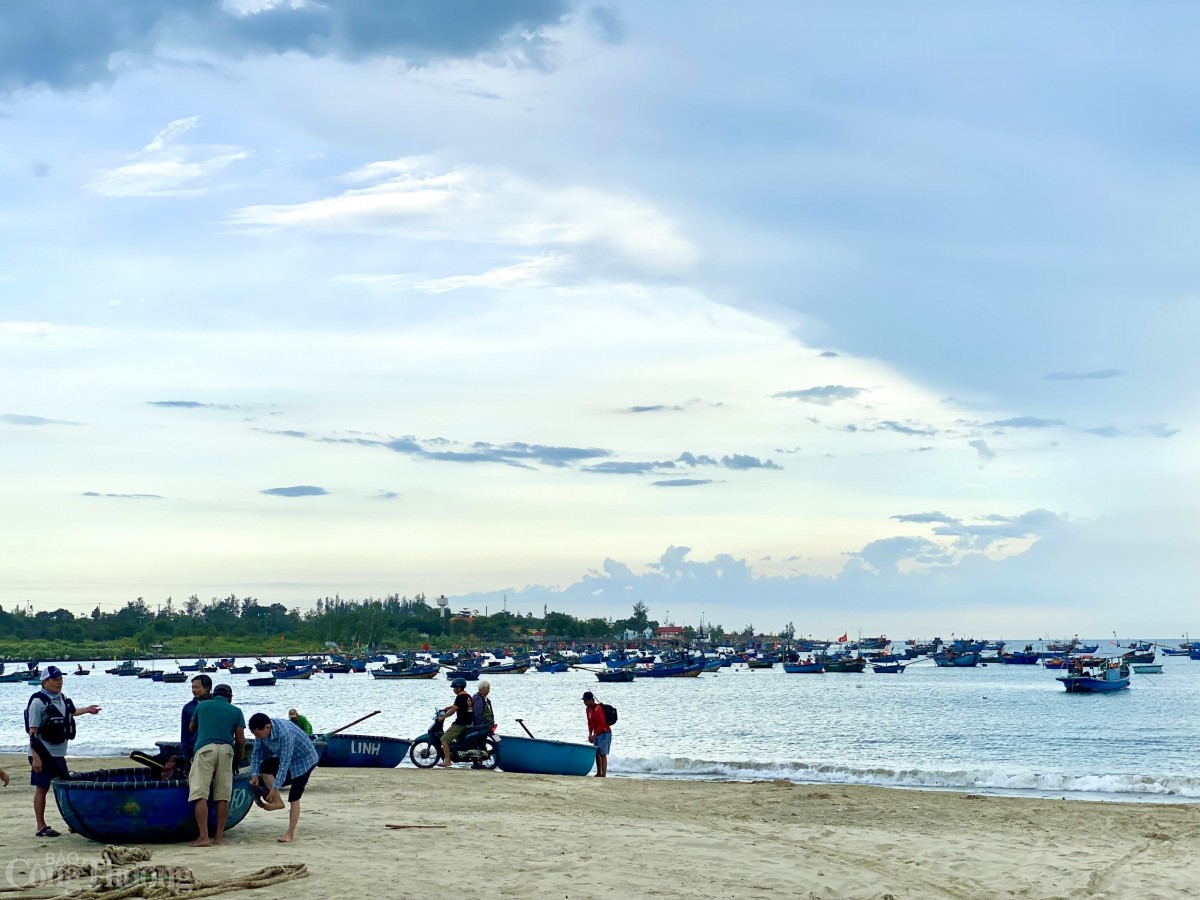 Thú vị cảnh kéo lưới rùng, mua bán cá trên biển Đà Nẵng