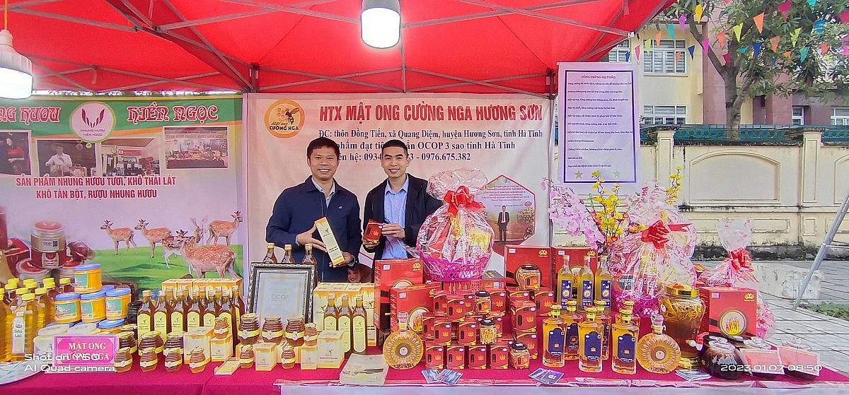 Mật ong Cường Nga và hành trình xây dựng sản phẩm OCOP 4 sao Mật ong Cường Nga và hành trình xây dựng sản phẩm OCOP 4 sao