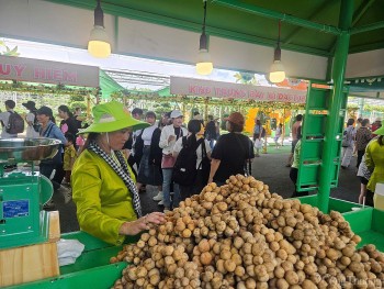 Dấu ấn nông sản tại Lễ hội trái cây Nam Bộ