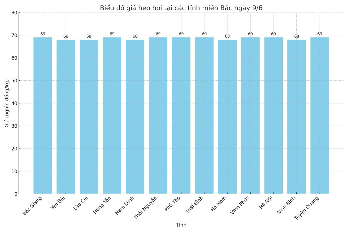 Biểu đồ giá heo hơi tại các tỉnh miền Bắc ngày 9/6. Biểu đồ giá heo hơi tại các tỉnh miền Bắc ngày 9/6.