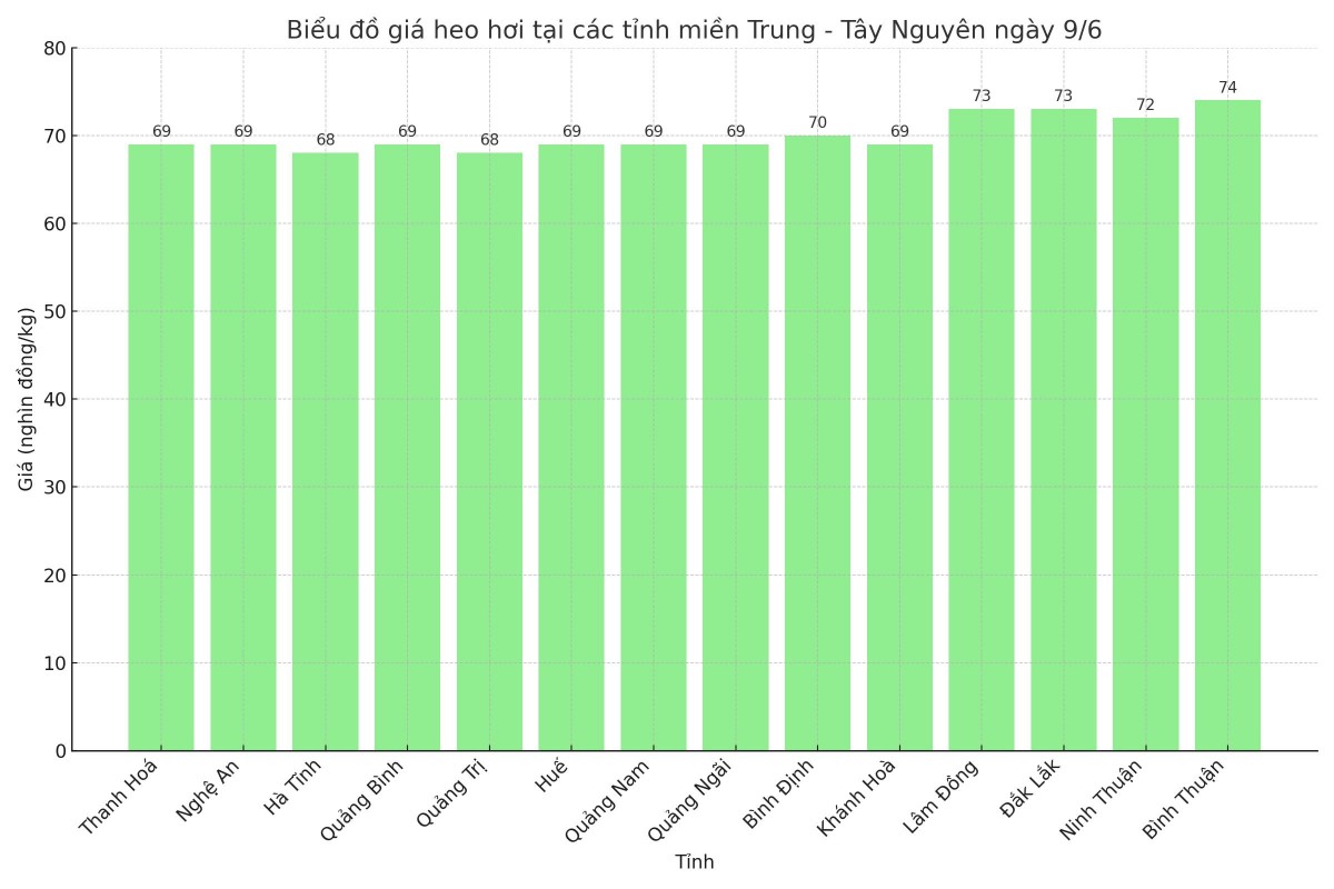 Biểu đồ giá heo hơi tại các tỉnh miền Trung - Tây Nguyên ngày 9/6. Biểu đồ giá heo hơi tại các tỉnh miền Trung - Tây Nguyên ngày 9/6.