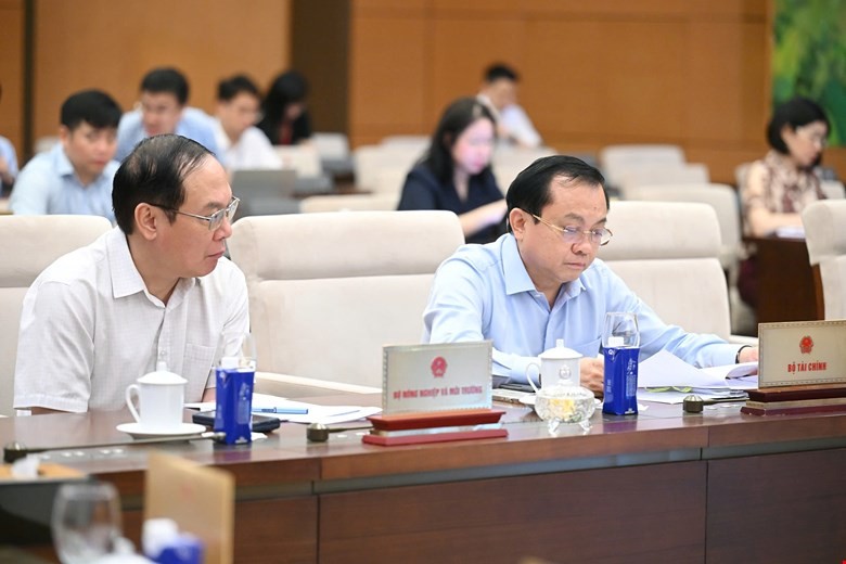 Thành viên Thường vụ