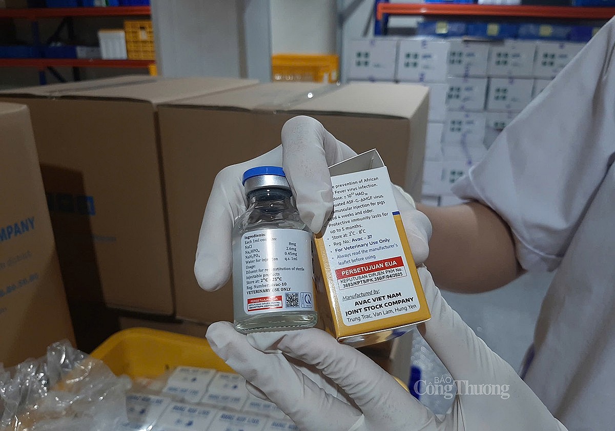 Indonesia đã trở thành quốc gia thứ ba, sau Việt Nam và Philippines, chính thức cho phép lưu hành vaccine AVAC ASF LIVE Indonesia đã trở thành quốc gia thứ ba, sau Việt Nam và Philippines, chính thức cho phép lưu hành vaccine AVAC ASF LIVE