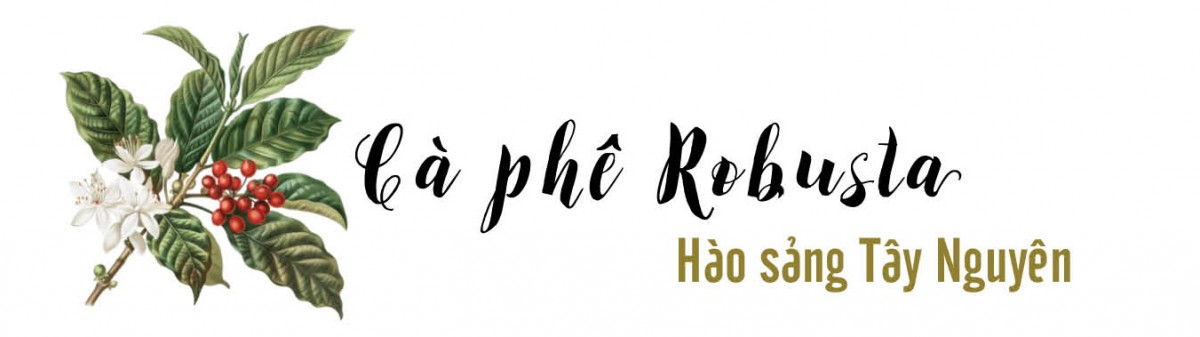 Longform | Hạt cà phê Việt và hành trình thoát nghèo của bà con vùng cao Longform | Hạt cà phê Việt và hành trình thoát nghèo của bà con vùng cao