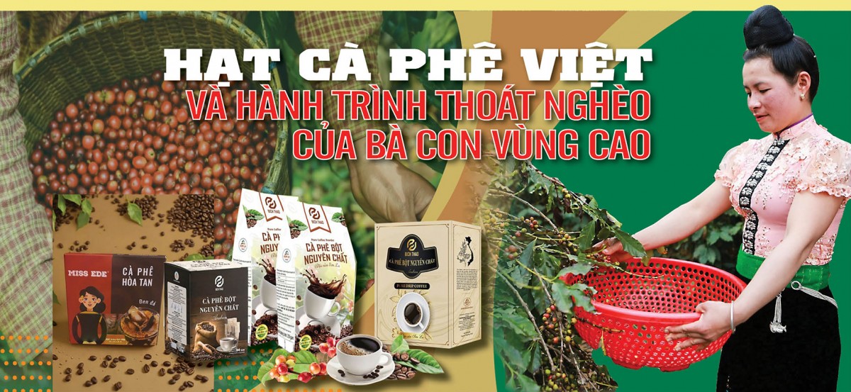 Longform | Hạt cà phê Việt và hành trình thoát nghèo của bà con vùng cao