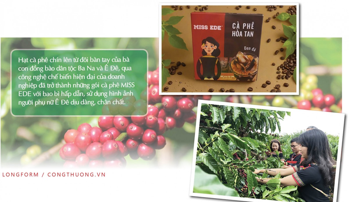 Longform | Hạt cà phê Việt và hành trình thoát nghèo của bà con vùng cao