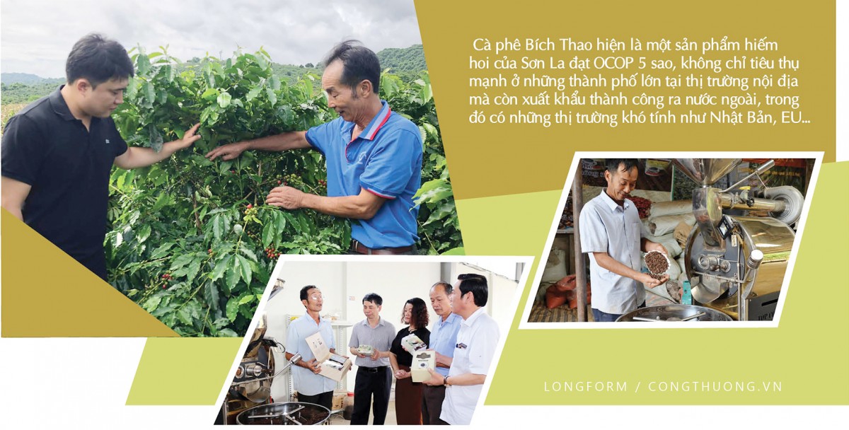 Longform | Hạt cà phê Việt và hành trình thoát nghèo của bà con vùng cao