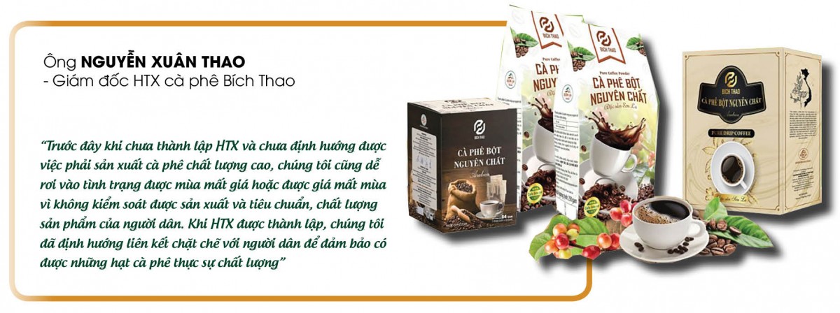 Longform | Hạt cà phê Việt và hành trình thoát nghèo của bà con vùng cao