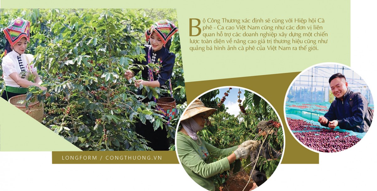 Longform | Hạt cà phê Việt và hành trình thoát nghèo của bà con vùng cao