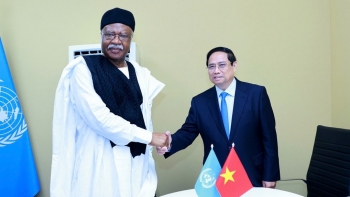 Thủ tướng: Doanh nghiệp Việt Nam sẵn sàng mở rộng đầu tư tại Cameroon