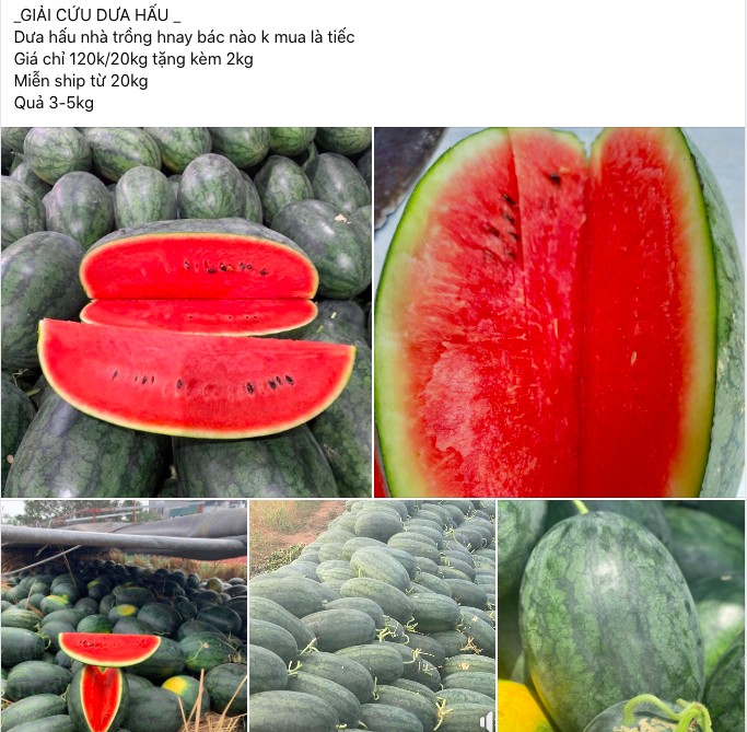 Dưa hấu rẻ bán khắp vỉa hè, người dân mua giải nhiệt Dưa hấu rẻ bán khắp vỉa hè, người dân mua giải nhiệt