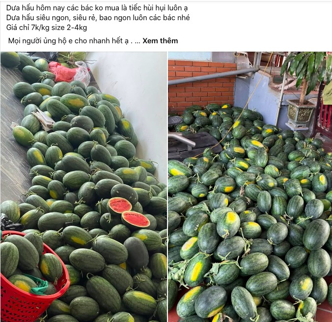 Dưa hấu rẻ bán khắp vỉa hè, người dân mua giải nhiệt Dưa hấu rẻ bán khắp vỉa hè, người dân mua giải nhiệt