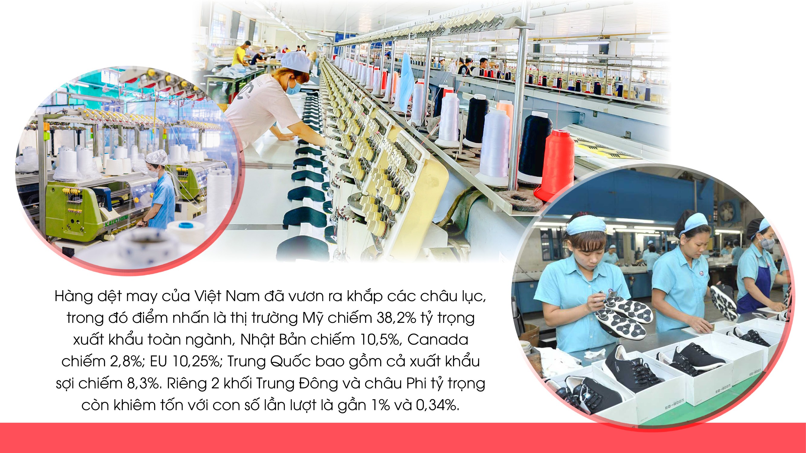 Xúc tiến thương mại chuyên sâu: Khuyến nghị từ thực tế