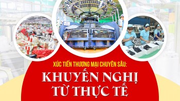 Xúc tiến thương mại chuyên sâu: Khuyến nghị từ thực tế