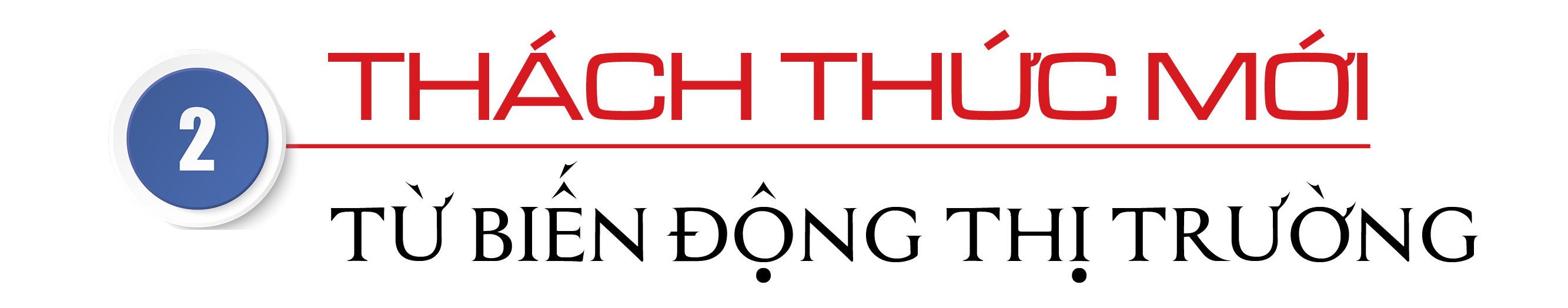 Xúc tiến thương mại chuyên sâu: Khuyến nghị từ thực tế