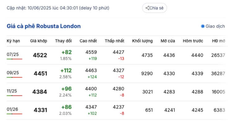 Giá cà phê hôm nay 10/6/2025, trong nước