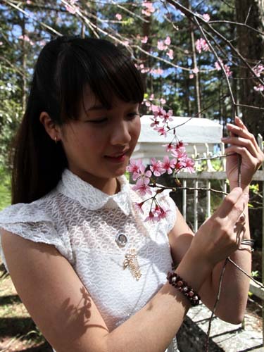 Đà Lạt rực hồng sắc mai anh đào