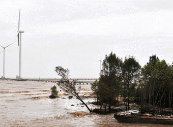 Nhà máy điện gió hoàn thành giai đoạn một, sắp phát điện