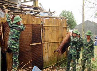 Biến đổi khí hậu gây hậu quả khó lường