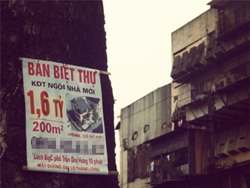 Giá biệt thự ngang hà chung cư