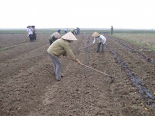 Các chế phẩm này góp phần bảo vệ môi trường