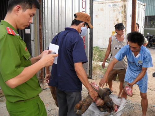 Nội tạng trâu bò nhập lậu bị các cơ quan chức năng bắt giữ để tiêu hủy