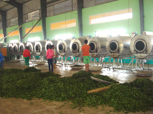 Hỗ trợ đào tạo nghề và máy móc cho Công ty TNHH Tam Dương (Bảo Lâm - Lâm Đồng)