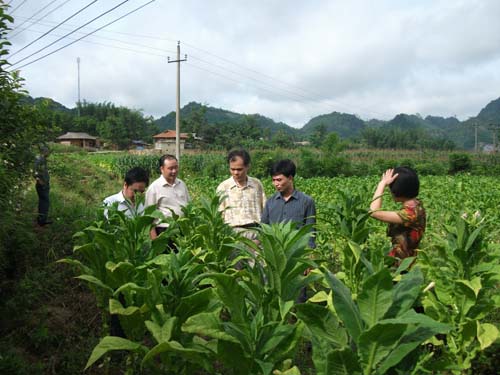 Đoàn kiểm tra VNC KHDN đến làm việc.