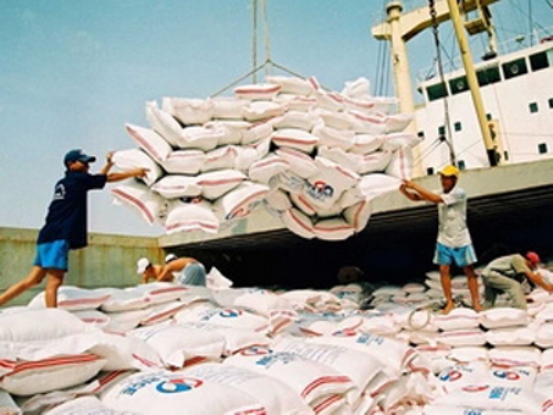 Gạo là mặt hàng xuất khẩu chủ yếu sang Cuba