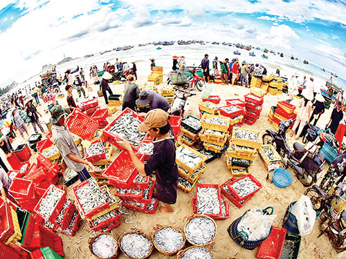 Nguồn lợi hải sản trên vùng biển của Việt Nam vô cùng phong phu