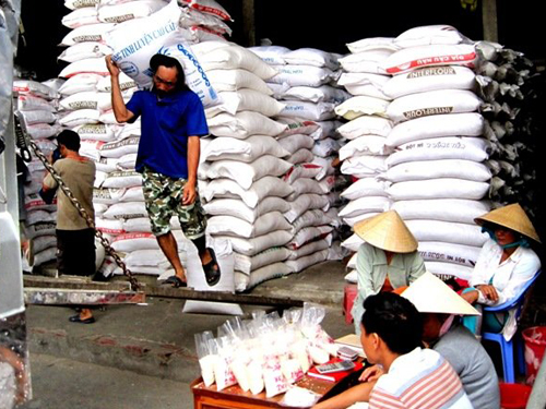  Xuất khẩu gạo sang Philippines vẫn an toàn, chưa có lô hàng nào của doanh nghiệp bị phạt. Trong ảnh là nhân công đang làm việc tại kho một doanh nghiệp kinh doanh lương thực tại ĐBSCL.