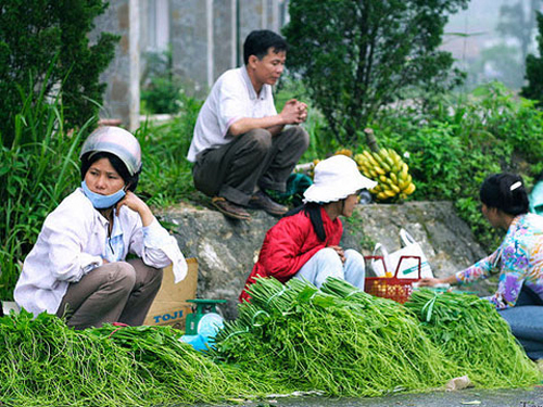 Su su được bày bán khắp nơi ở Tam Đảo