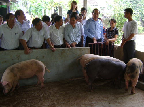 Phó Thủ tướng Nguyễn Thiện Nhân thăm cơ sở chăn nuôi sử dụng đệm lót sinh học.