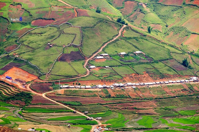 Khu tái định cư của người Thái. Mỗi năm, lại có thêm những mái nhà Thái lên cao dần.