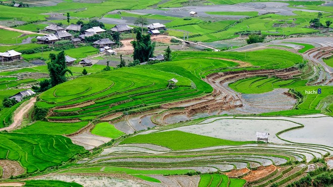 Bức tranh vùng cao đa sắc màu.