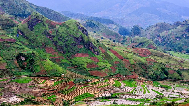 Những thoải dốc đất chắt chiu trong mùa vụ no nước.